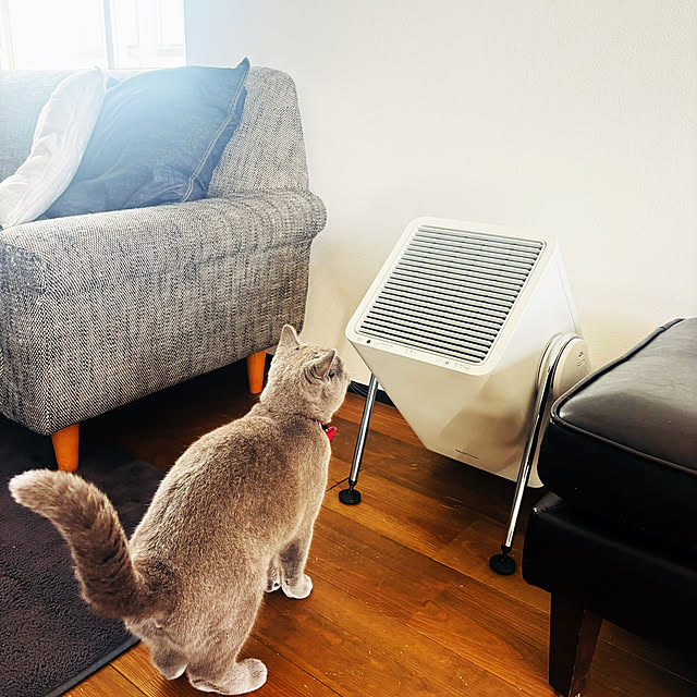 lulu1109さんの実例写真