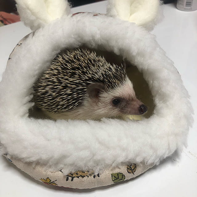 miiさんの実例写真