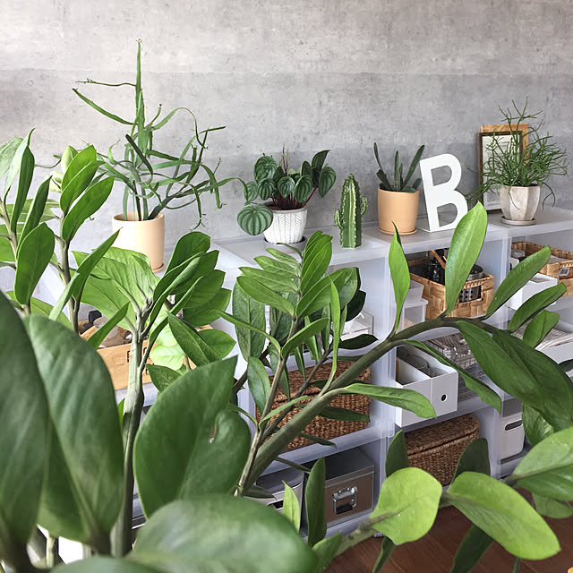 hira_muji_mihiさんの実例写真