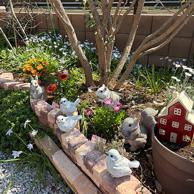 ronronさんの部屋