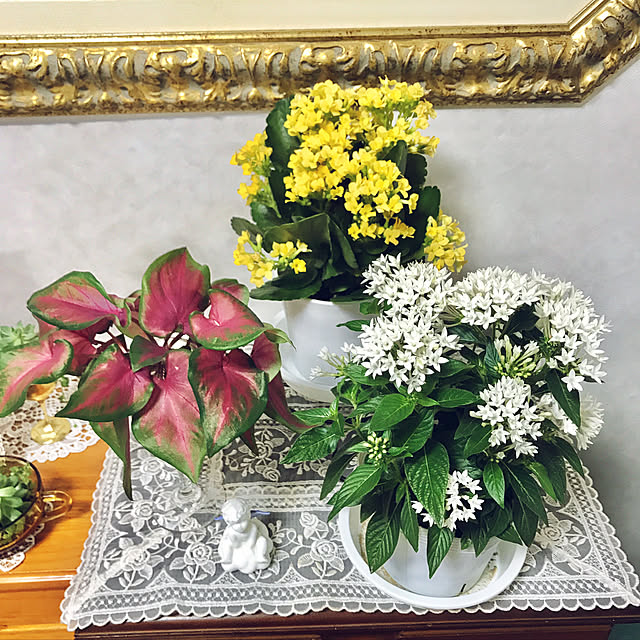 yuko25さんの実例写真