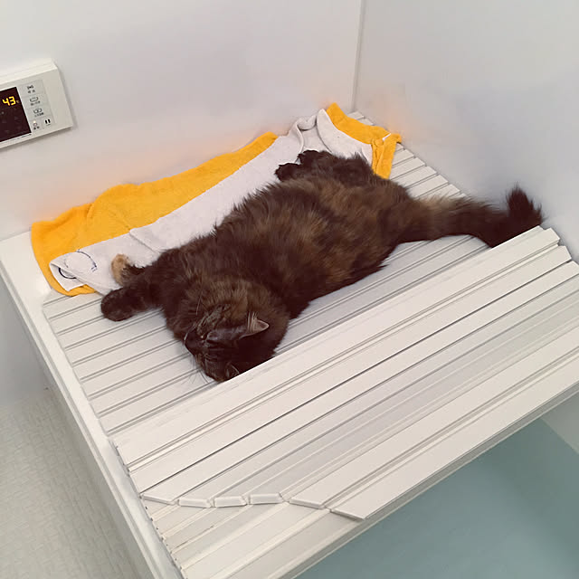 mikomaruさんの実例写真