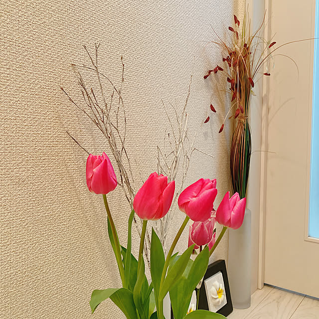 実例写真