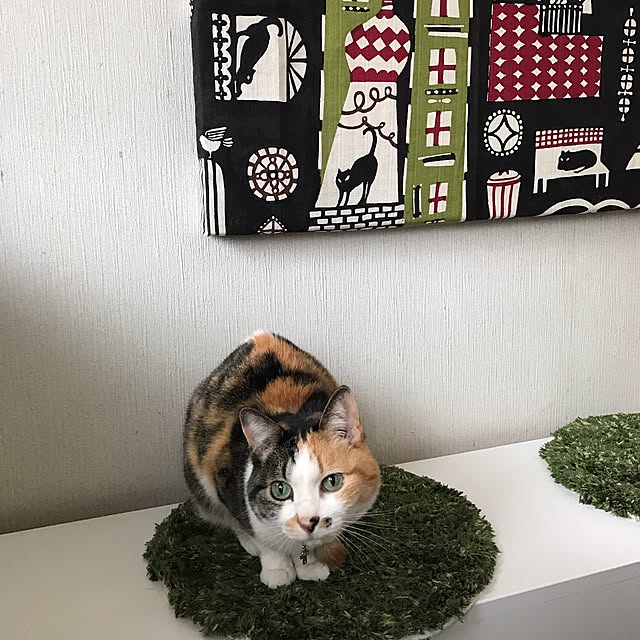 nyanko-beamさんの実例写真