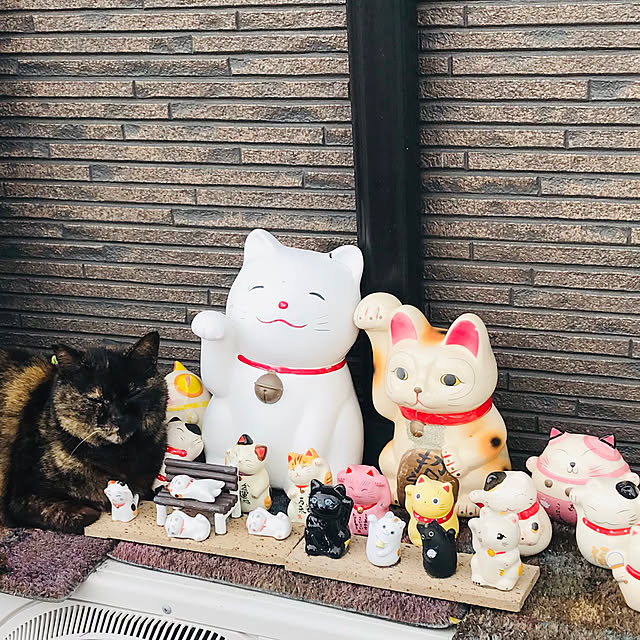 kazeさんの実例写真