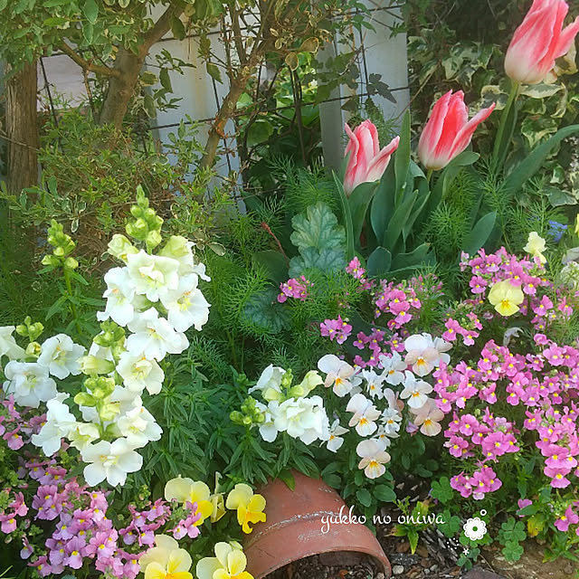 yukkoさんの実例写真