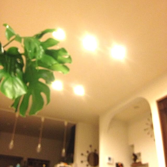 katsuwoさんの実例写真