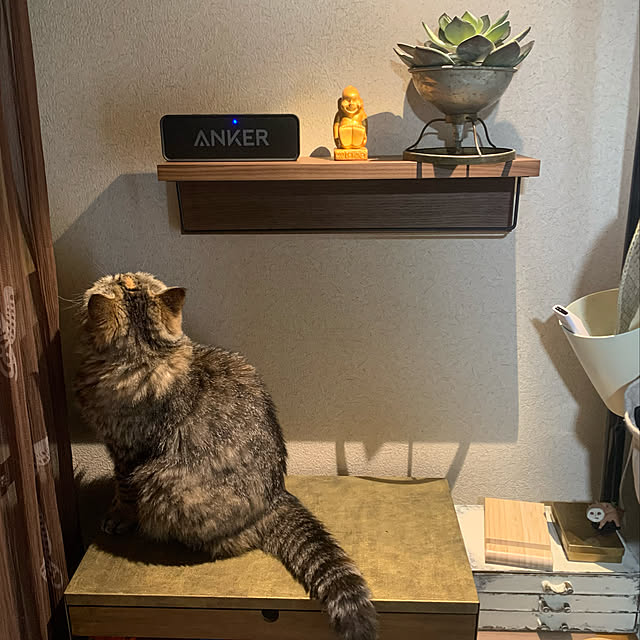 haneyaさんの実例写真