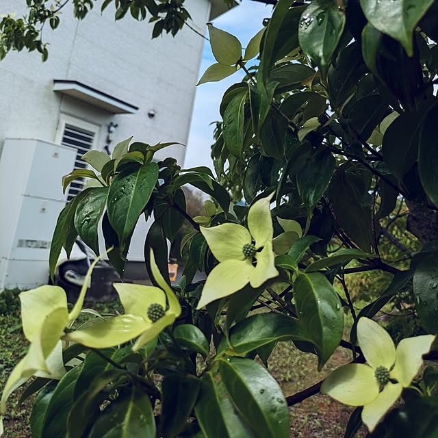 prepreさんの実例写真