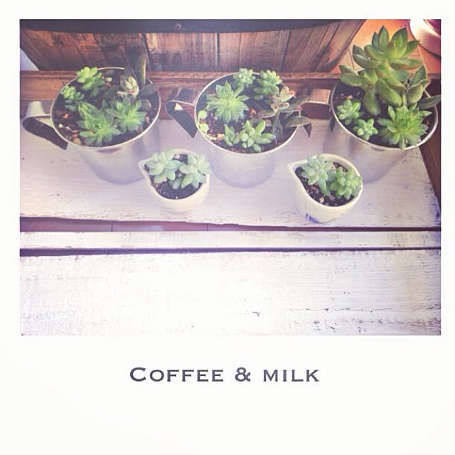 milkteaさんの実例写真