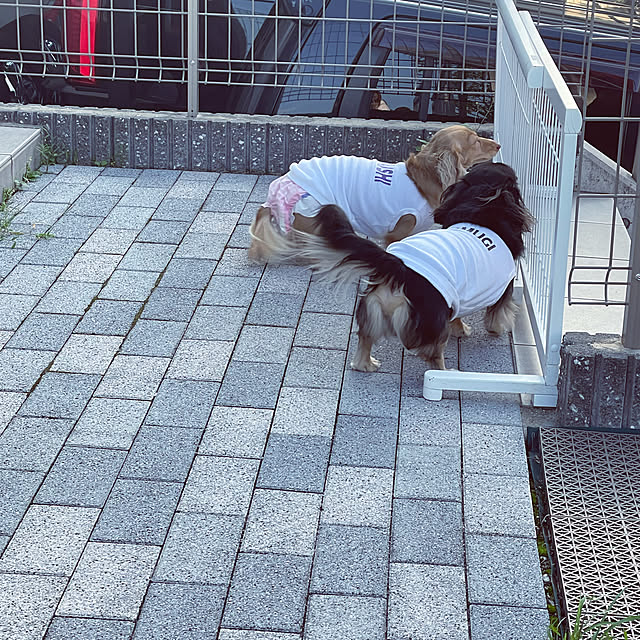 mikomugisaさんの実例写真