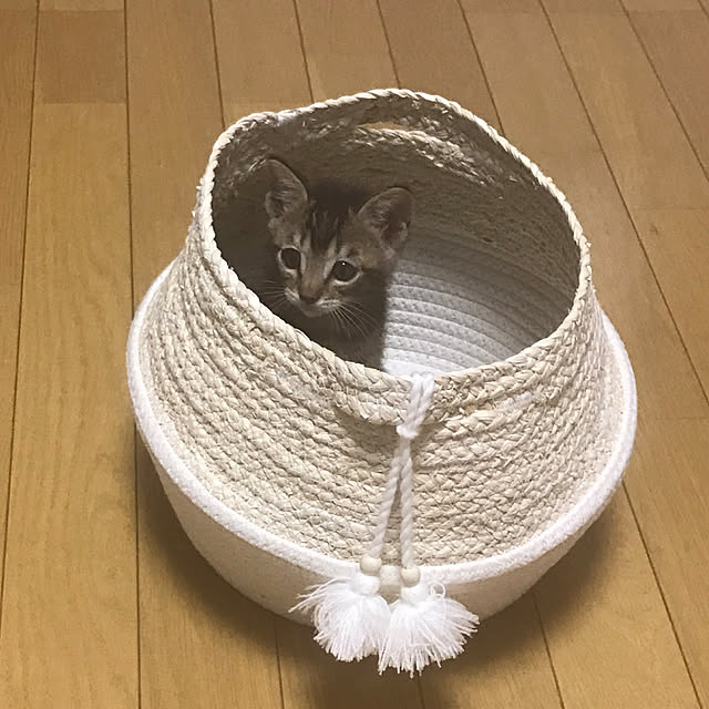 tmさんの実例写真