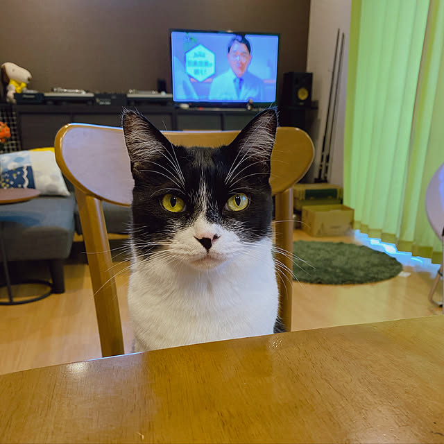 viraさんの実例写真