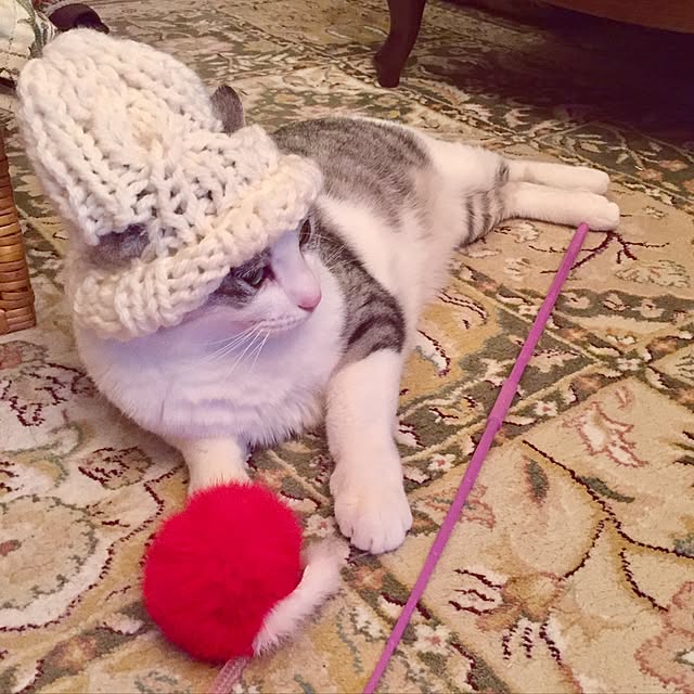 emmyyさんの実例写真