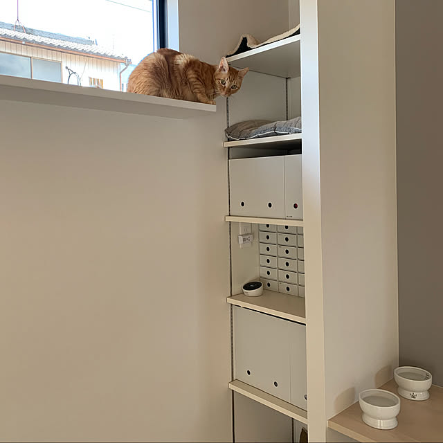 無印良品/ねこ/狭小住宅/自由設計/建売住宅...などのインテリア実例 - 2021-10-20 11:40:49