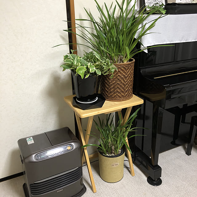 CASSISさんの実例写真