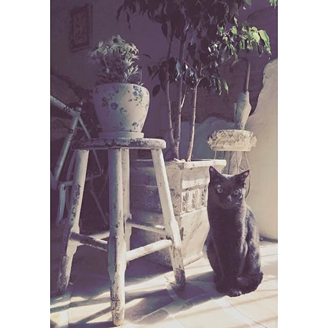 rosemaryさんの実例写真