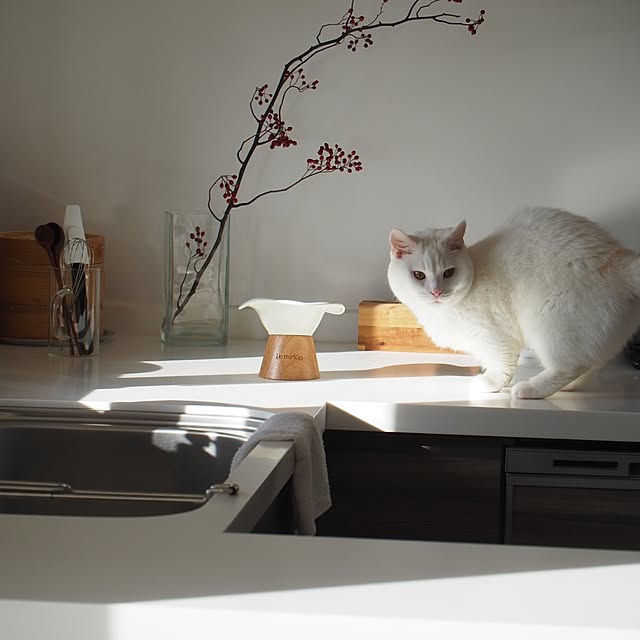 tomatoさんの部屋