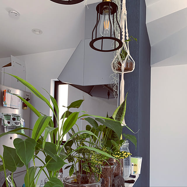 marimoさんの実例写真