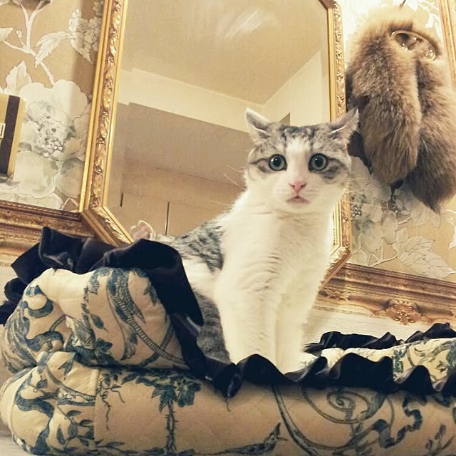 emmyyさんの実例写真