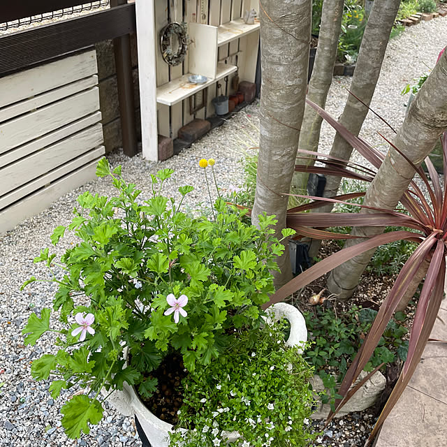 ululuさんの部屋