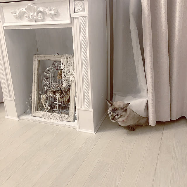 noelさんの実例写真