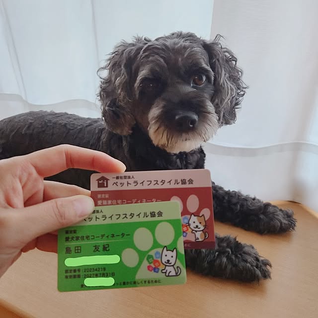 shimaaadsさんの実例写真
