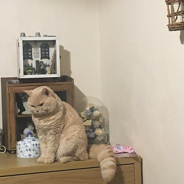 naokoさんの部屋
