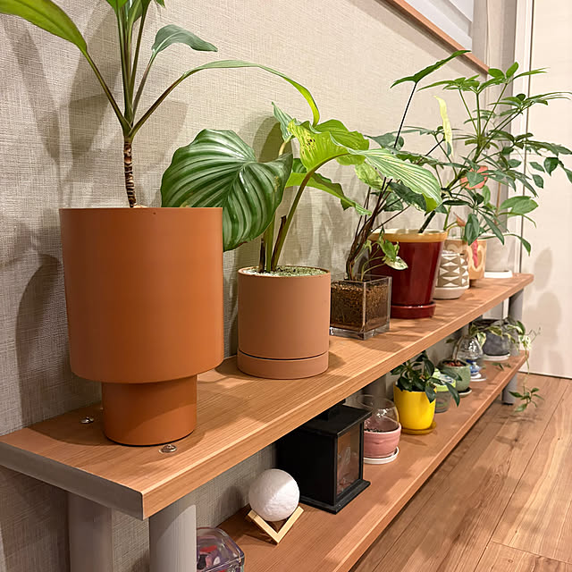 ikuzakさんの実例写真