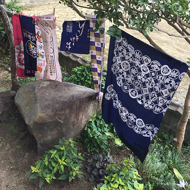 buchiさんの実例写真