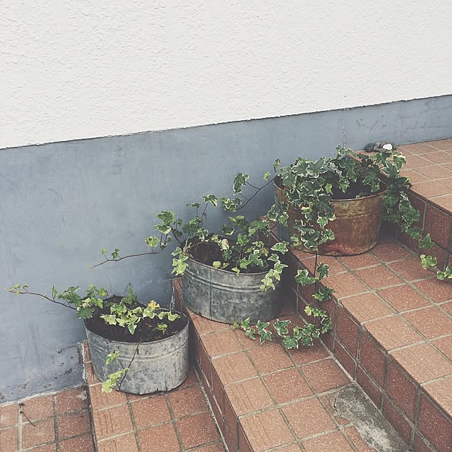 roniqueさんの実例写真