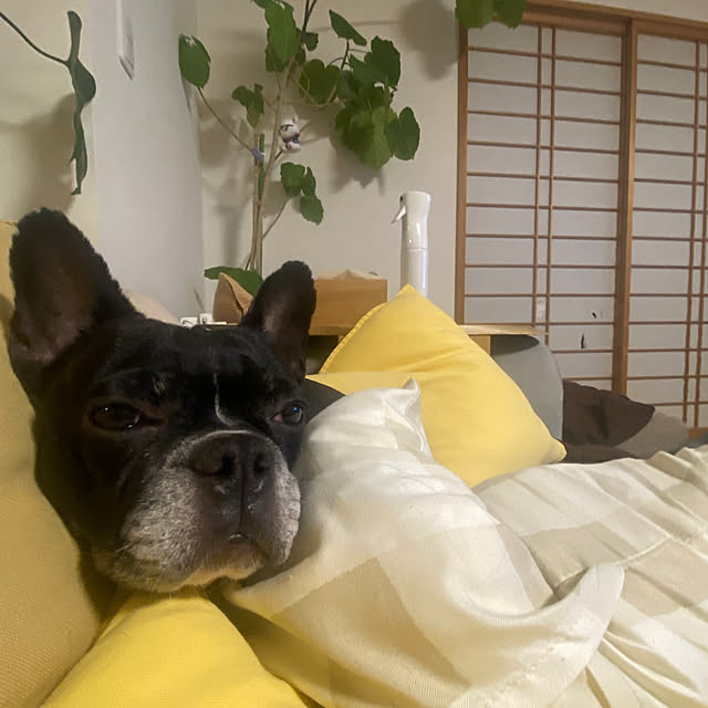 kotaroさんの部屋