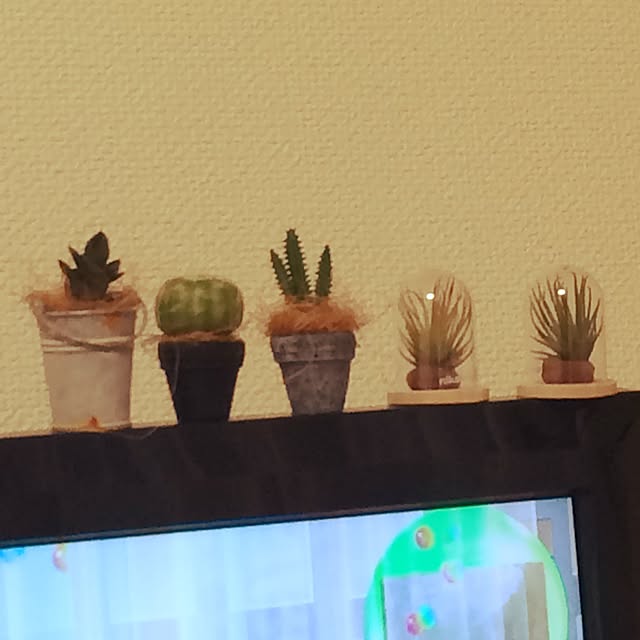 Mikiさんの実例写真