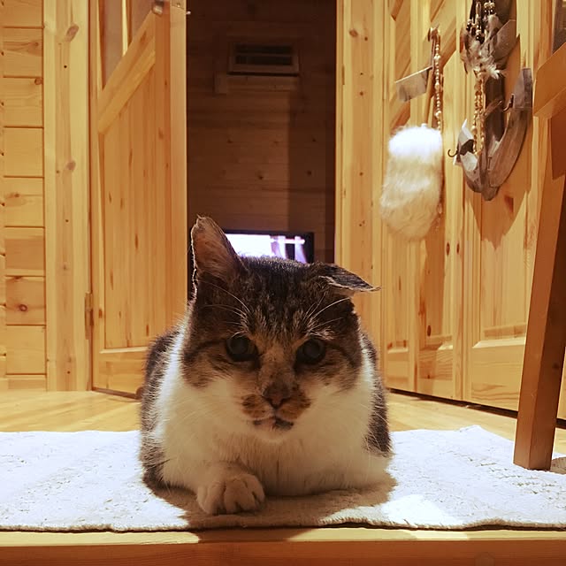 h.uさんの実例写真