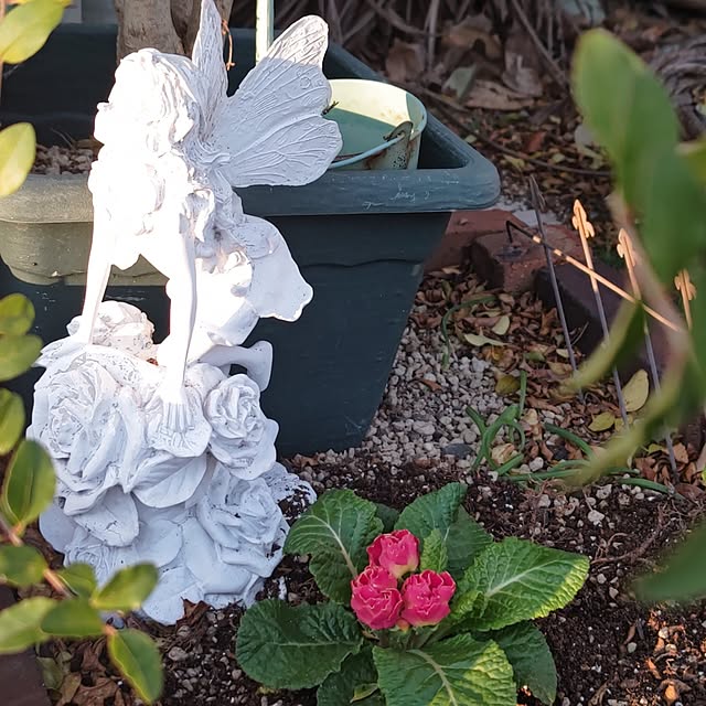 eriponさんの実例写真