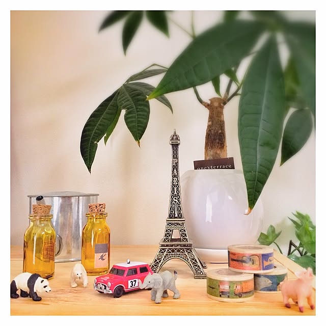 棚/雑貨/セリア/植物/観葉植物のインテリア実例 - 2014-06-14 02:00:52