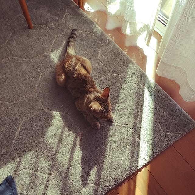mamekoさんの実例写真