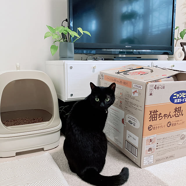 nekomiさんの実例写真