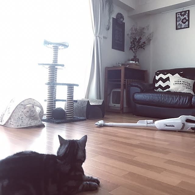 hiyupan88さんの実例写真