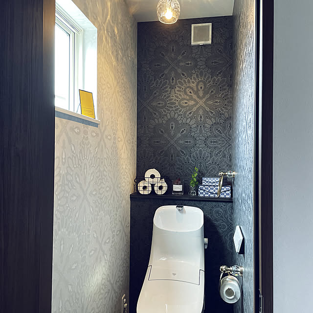 観葉植物/ダイソー/照明/バス/トイレのインテリア実例 - 2022-06-05 15:18:43
