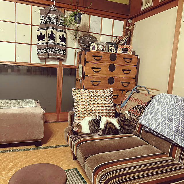 choroさんの実例写真