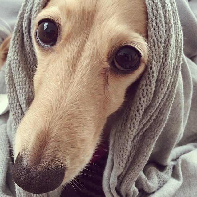 mikiさんの実例写真