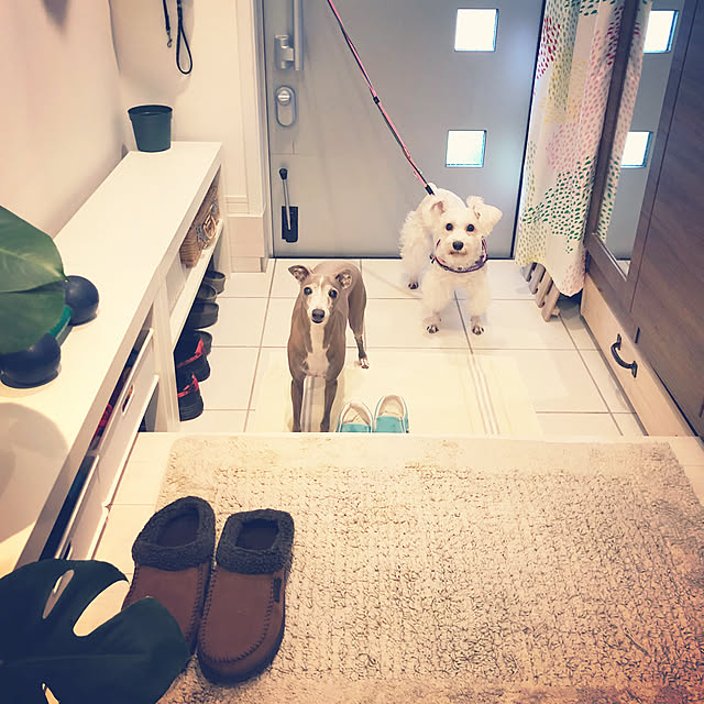 suzyさんの実例写真