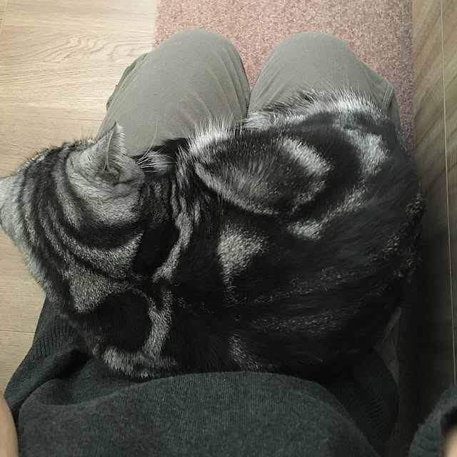 mikomaruさんの実例写真