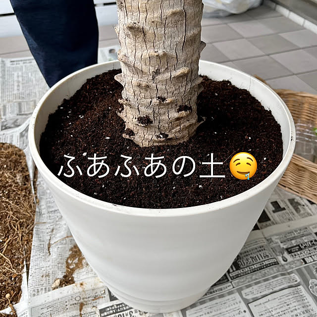 amさんの部屋