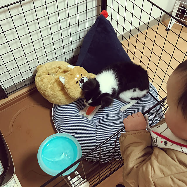 akmoさんの実例写真