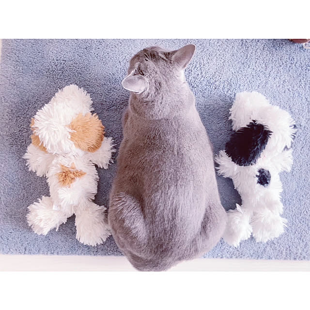 snoopyさんの部屋