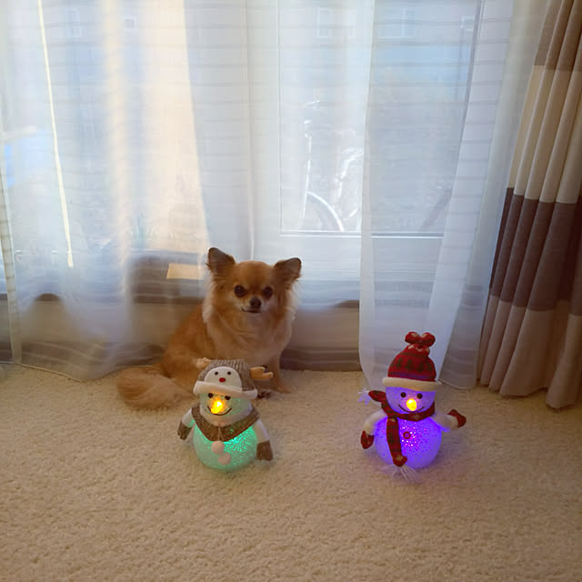 kojikojiさんの実例写真