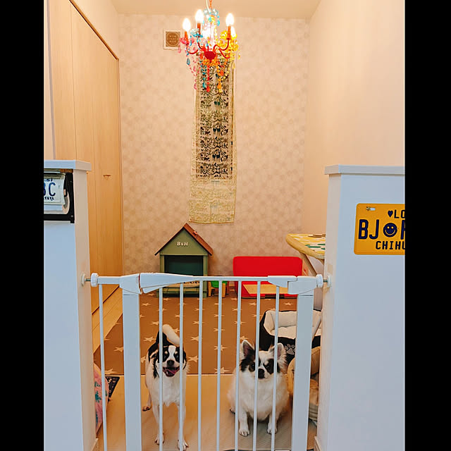 bjhorusさんの実例写真