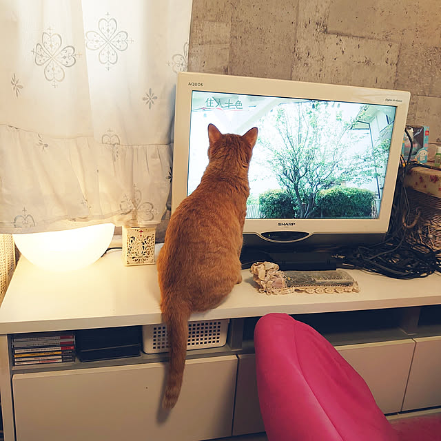 asuminさんの実例写真